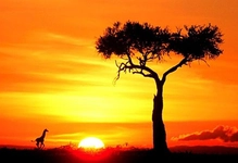 Sabah Duası Okunuşu ve Anlamı